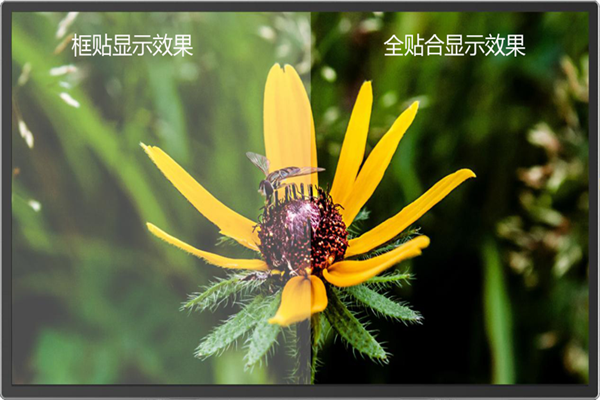 全貼合和(hé / huò)框貼有啥區别？